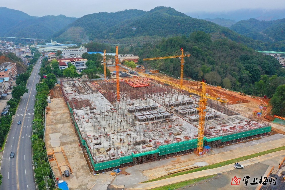 “新春走基层·企业行”全媒体采风团走进球友会科技